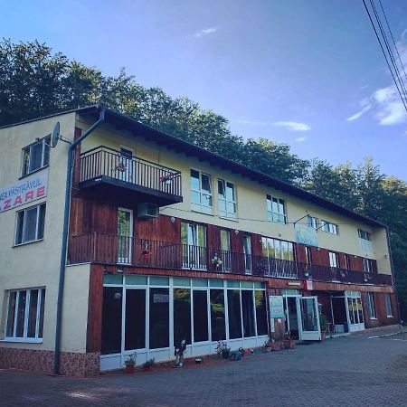Pensiunea Pastravul Cartisoara Exterior foto