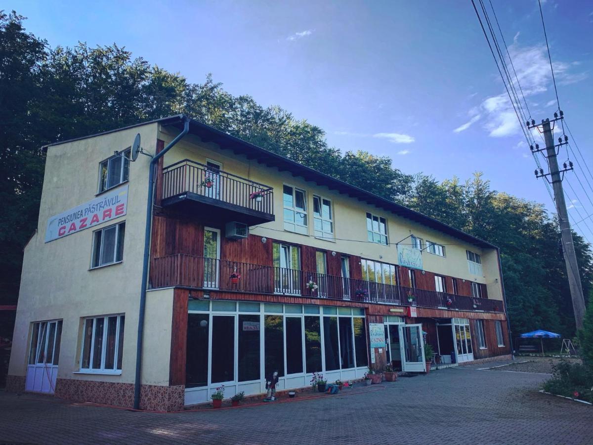 Pensiunea Pastravul Cartisoara Exterior foto