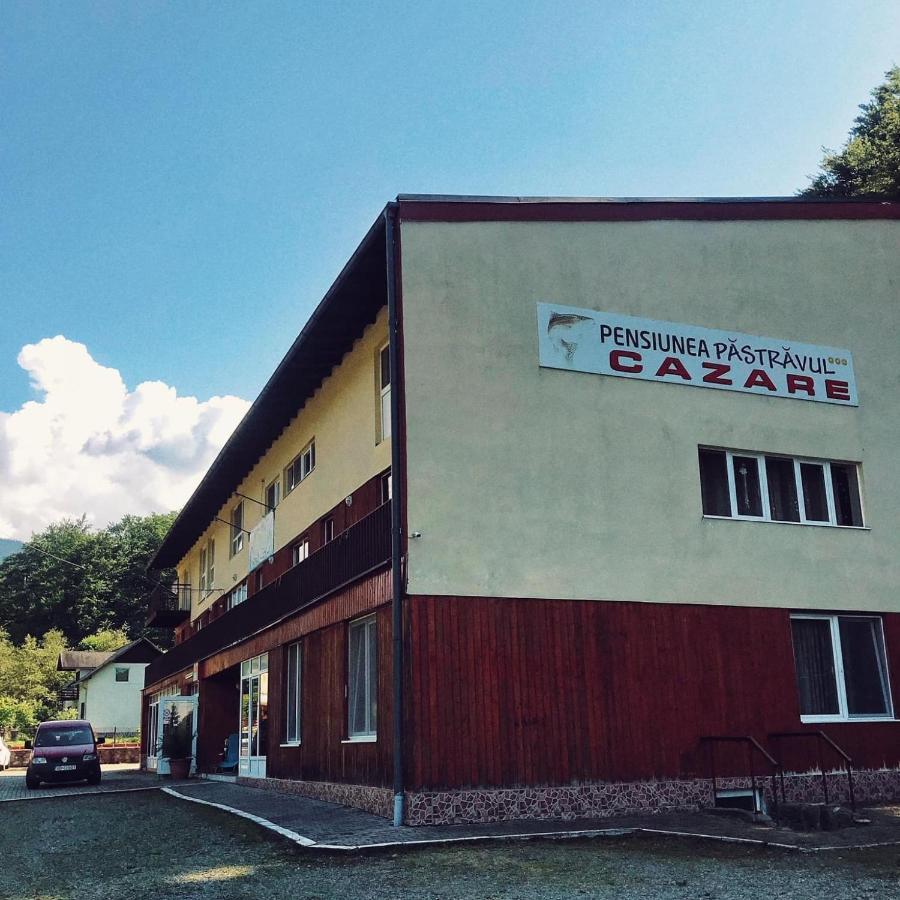 Pensiunea Pastravul Cartisoara Exterior foto