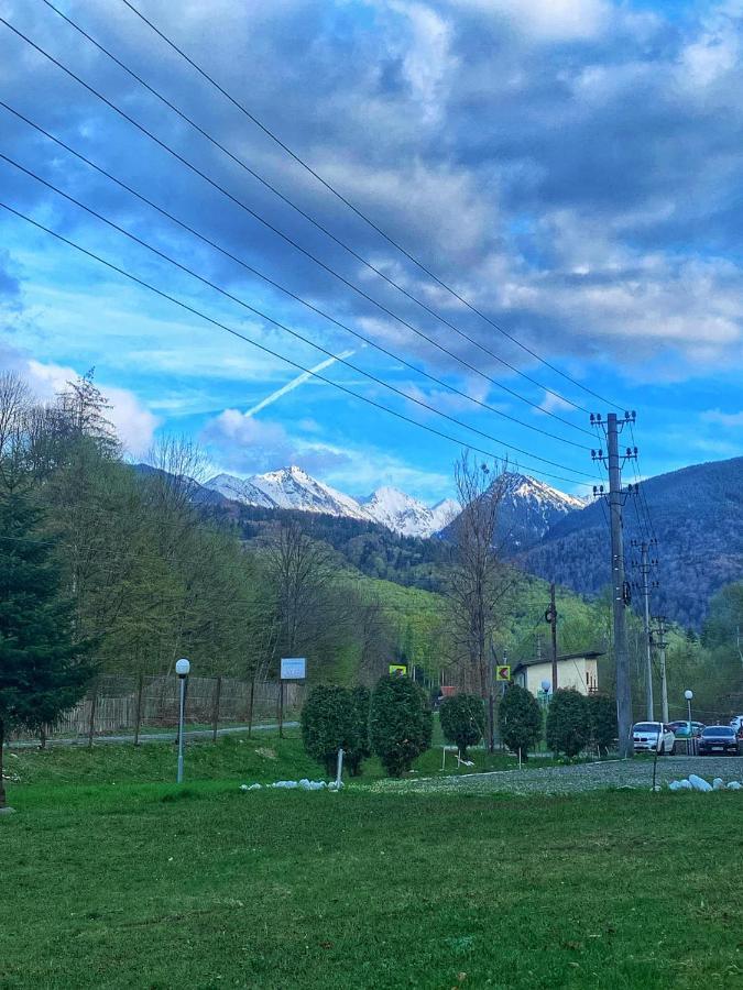 Pensiunea Pastravul Cartisoara Exterior foto
