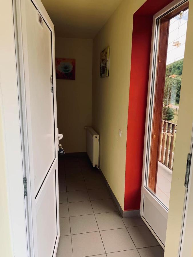 Pensiunea Pastravul Cartisoara Exterior foto