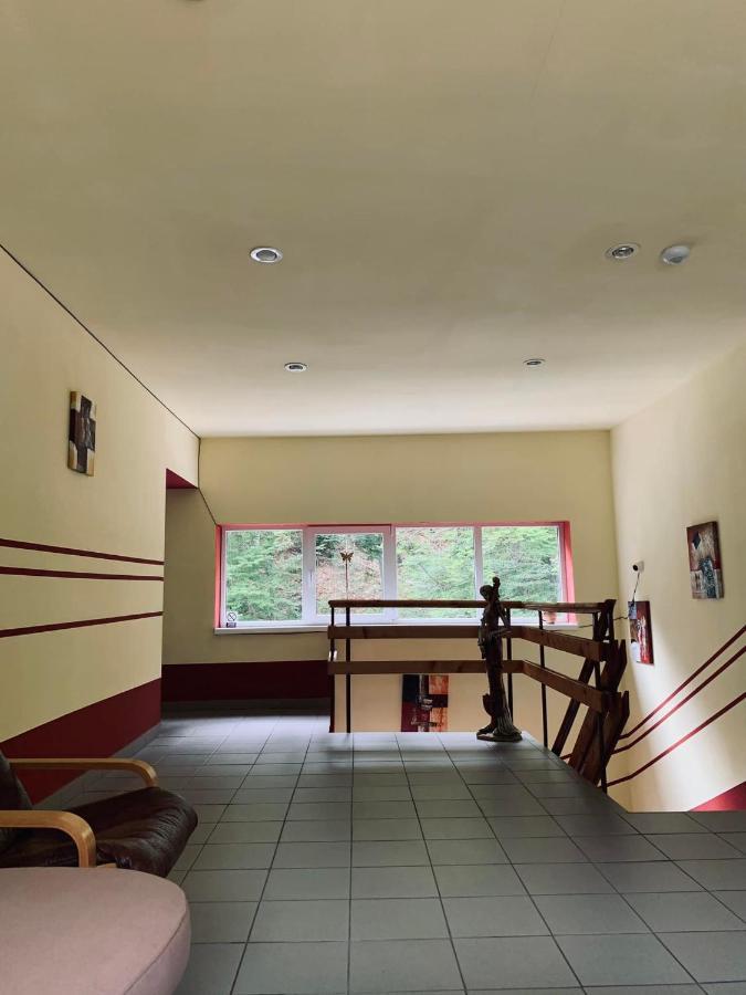 Pensiunea Pastravul Cartisoara Exterior foto